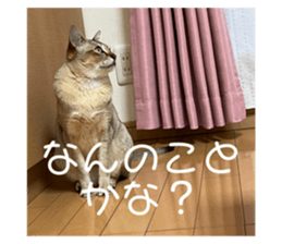 585995821