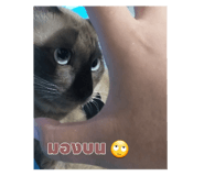 586032449