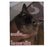586032452