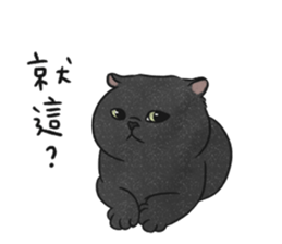 586066509