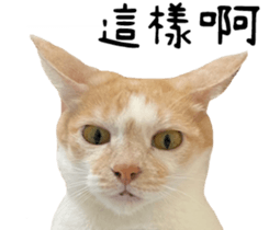 586068088
