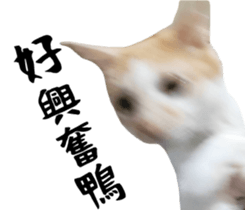 586068096