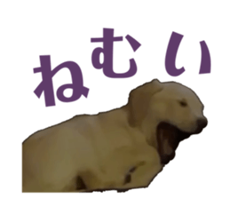 586098988