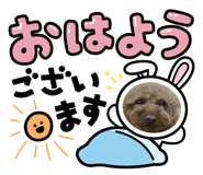 586106397