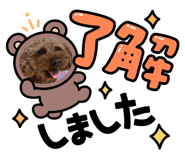 586106404