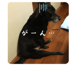 586182976