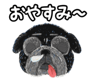 586189337