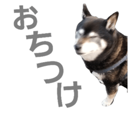58619190