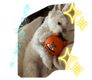 586203256