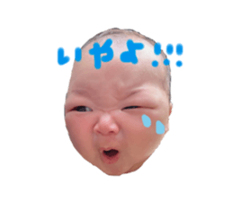 586216238