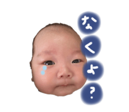 586216251