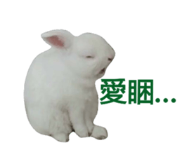 58626597