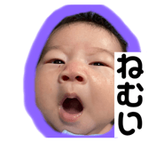586294901