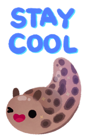 586306012