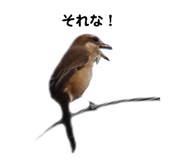 586306828