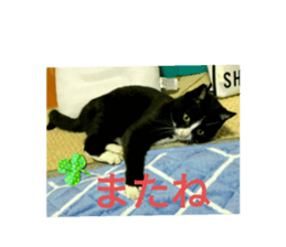 586313961