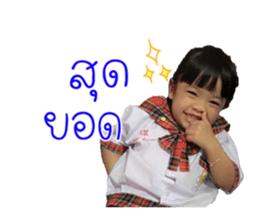 58631409
