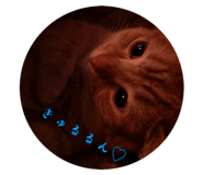 586315163