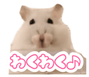 586337755