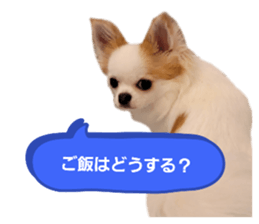 586337866