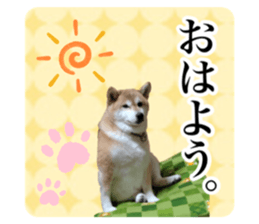 586348306