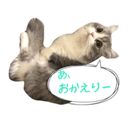 58637627