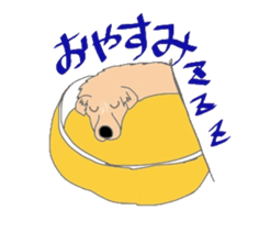 5864008