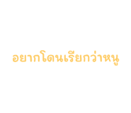 586406333