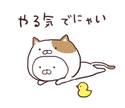 5864067