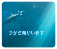 586431727