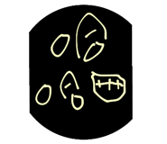 586432343