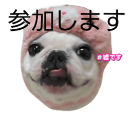 586434432