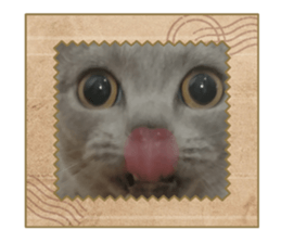 586438198