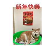 586451048
