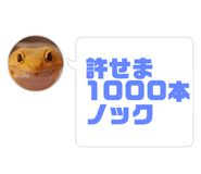 586454240