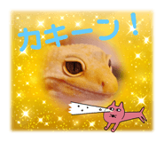 586454241