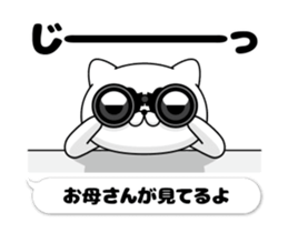 58648033