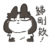 586522564