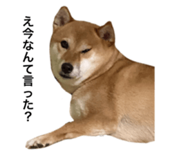 586525440