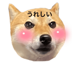 586525441