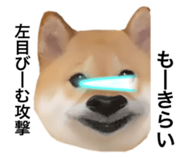 586525442
