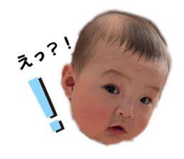 586587278