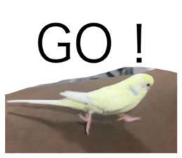 586641896