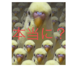 586641901