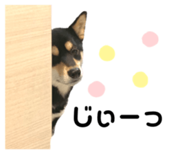 586658481