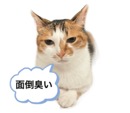 586660360