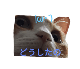 586664051