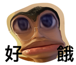 586664875