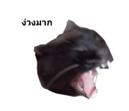 586672626