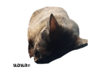 586672627